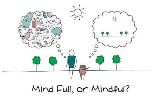 Cartoon Mind Full or Mindful?